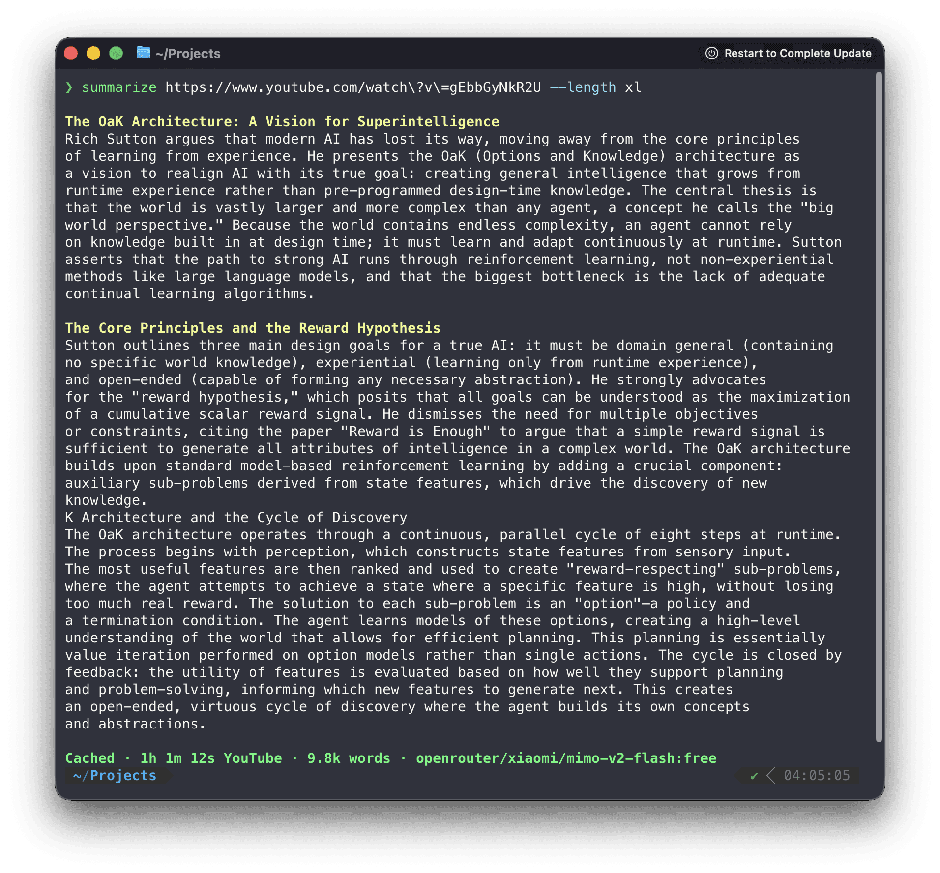 Summarize CLI screenshot